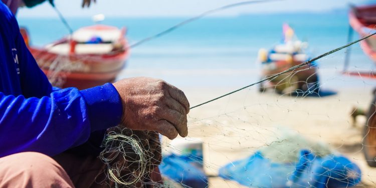 Pré-COP dos Povos e Comunidades Tradicionais: segundo encontro virtual debate biomas costeiros e marinhos
