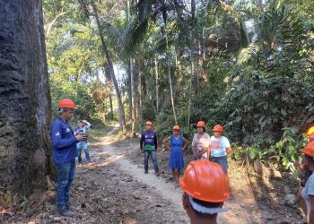 Capacitação de extrativistas no Amazonas fortalece produção sustentável