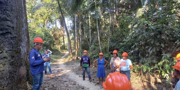 Capacitação de extrativistas no Amazonas fortalece produção sustentável