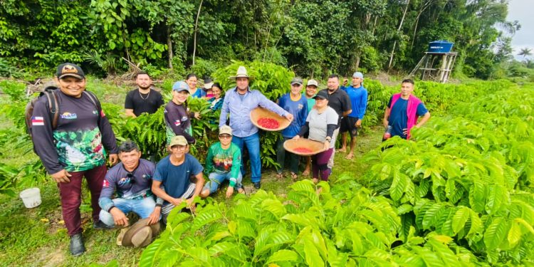 No Dia da Agricultura, Idam valoriza o agricultor familiar e reforça ações sustentáveis