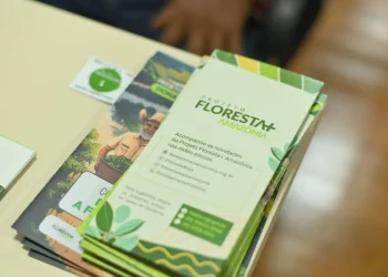 Projeto Floresta+ Amazônia no Amazonas recebe R$ 1,5 milhão