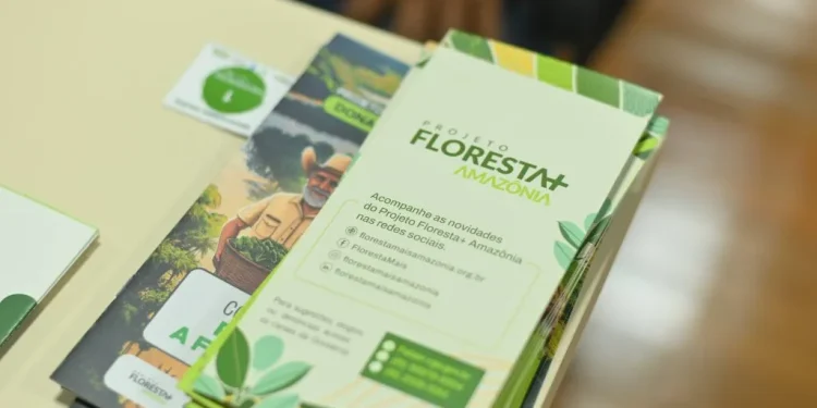Projeto Floresta+ Amazônia no Amazonas recebe R$ 1,5 milhão