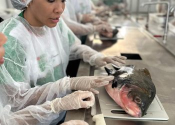 Aquicultura Sustentável em Presidente Figueiredo: Ciência e Inovação para Todos