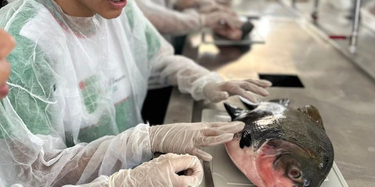 Aquicultura Sustentável em Presidente Figueiredo: Ciência e Inovação para Todos