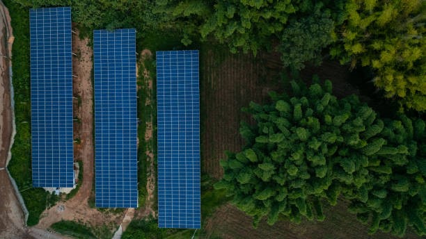 Amazônia como fronteira da bioenergia e da transição energética descentralizada
