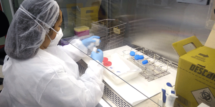 Teste Rápido Molecular TRM em Manaus garante destaque nacional no controle da tuberculose