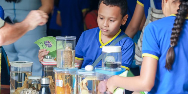 Expocreati Manaus: feira científica reúne estudantes e destaca inovação na rede municipal