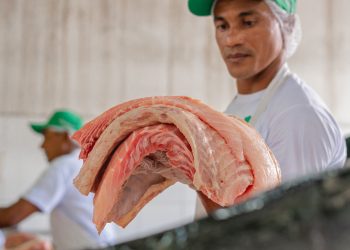 Feira do Pirarucu movimenta economia sustentável em Manaus