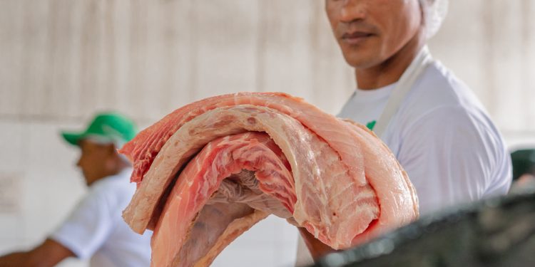 Feira do Pirarucu movimenta economia sustentável em Manaus