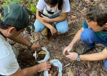 Vivência Arte na Mata fortalece diálogo entre artesanato, ciência e manejo sustentável