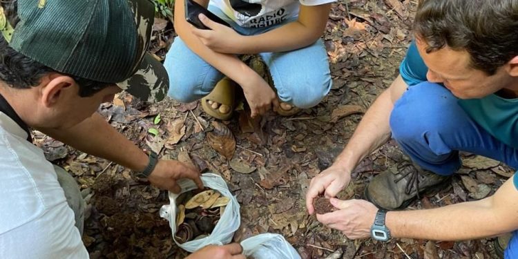 Vivência Arte na Mata fortalece diálogo entre artesanato, ciência e manejo sustentável