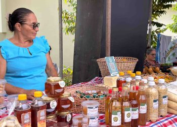 CNS na COP30: mobilização histórica das populações extrativistas e ações pela proteção da floresta