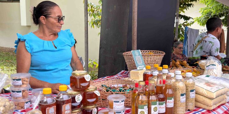 CNS na COP30: mobilização histórica das populações extrativistas e ações pela proteção da floresta