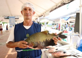 Feirão do Pescado Amazonas: edição especial movimenta 50 toneladas de peixe em Manaus