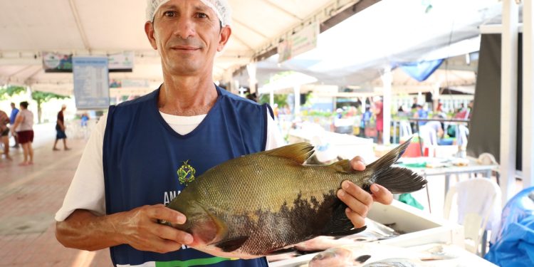 Feirão do Pescado Amazonas: edição especial movimenta 50 toneladas de peixe em Manaus