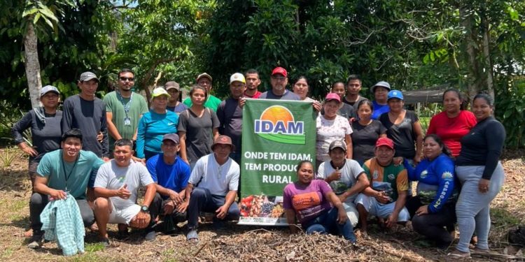 Curso de derivados da mandioca no Amazonas capacita 25 agricultores em São Paulo de Olivença