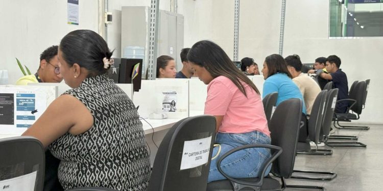 Vagas de emprego Sine Amazonas: 248 oportunidades disponíveis nesta quinta-feira
