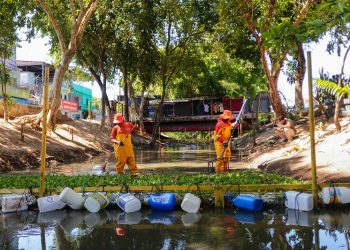 Ecobarreiras em Manaus serão destaque na COP30 com resultados ambientais expressivos