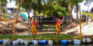 Ecobarreiras em Manaus serão destaque na COP30 com resultados ambientais expressivos