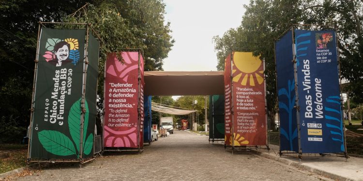 Espaço Chico Mendes na COP30 destaca compromisso socioambiental e legado sustentável