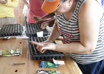 Cursos de produção rural no Amazonas: Governo promove 187 capacitações em 2025