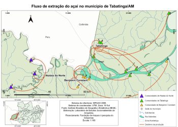 Pesquisa sobre açaí e mapati na Tríplice Fronteira revela redes sustentáveis