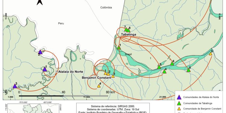 Pesquisa sobre açaí e mapati na Tríplice Fronteira revela redes sustentáveis