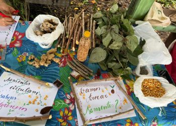 Curso Sistemas Agroflorestais Idam: Capacitação fortalece produção sustentável no Amazonas