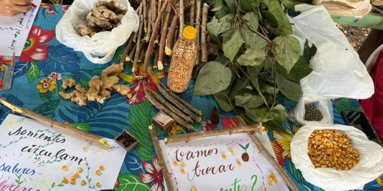 Curso Sistemas Agroflorestais Idam: Capacitação fortalece produção sustentável no Amazonas