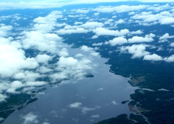 Governo do Amazonas reduz focos de calor em novembro de 2025