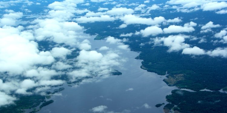 Governo do Amazonas reduz focos de calor em novembro de 2025