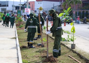 Plantio de mudas em Manaus atinge marca histórica com mais de 30 mil árvores em 2025