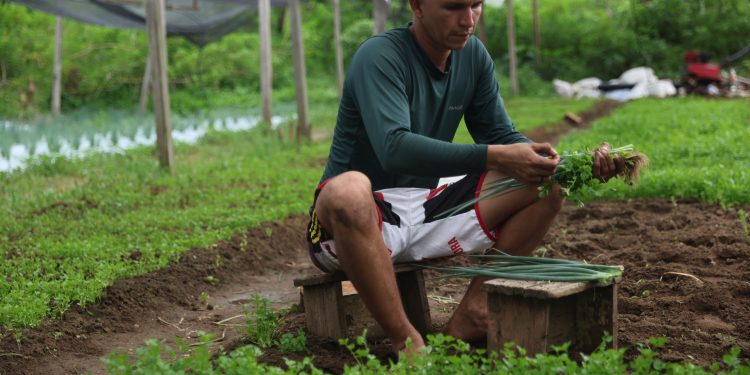 Fortalecimento do setor primário no Amazonas impulsiona economia em 2025