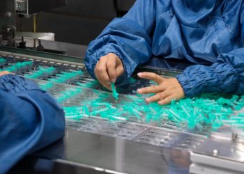 Avanços econômicos do Amazonas em 2025 impulsionam empregos e bioeconomia