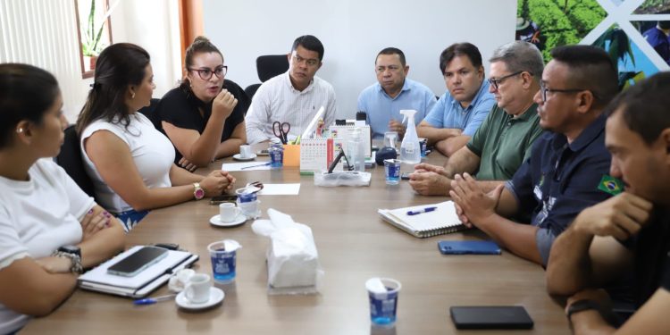 Mosca-da-carambola no Amazonas: Sepror reúne instituições para enfrentamento