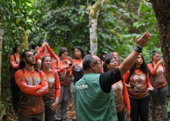 Capacitação em legislação ambiental sobre fauna silvestre reúne universitários no Amazonas