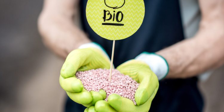 Bioeconomia e Biocombustíveis Sustentáveis: o potencial da Amazônia para a transição energética global