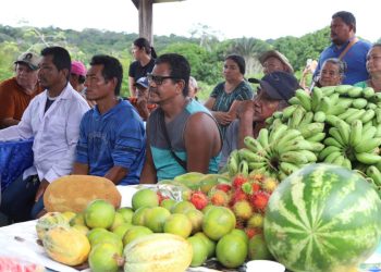 Agricultura familiar: Sepror visita associação rural em Rio Preto da Eva