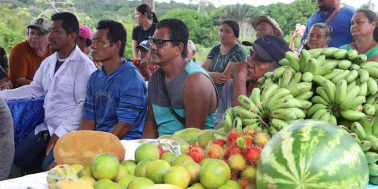 Agricultura familiar: Sepror visita associação rural em Rio Preto da Eva