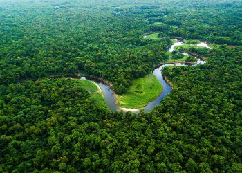 Amazônia registra menor desmatamento em áreas protegidas desde 2014