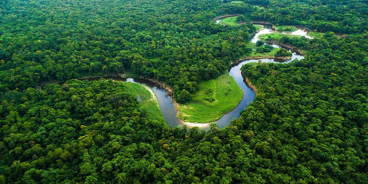 Amazônia registra menor desmatamento em áreas protegidas desde 2014