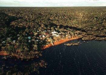 Núcleos de Sociobioeconomia na Amazônia: inscrições prorrogadas até 2 de fevereiro