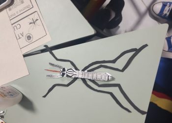 Protagonismo estudantil na prevenção da dengue é estimulado no Amazonas