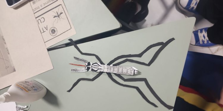 Protagonismo estudantil na prevenção da dengue é estimulado no Amazonas