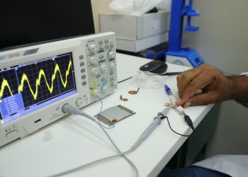 Microgeradores para monitoramento remoto na Amazônia avançam com apoio da Fapeam