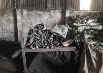 Fiscalização do Ipaam resulta em embargo e multa a empresa irregular de carvão vegetal