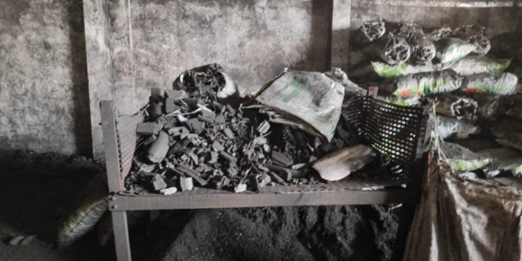 Fiscalização do Ipaam resulta em embargo e multa a empresa irregular de carvão vegetal