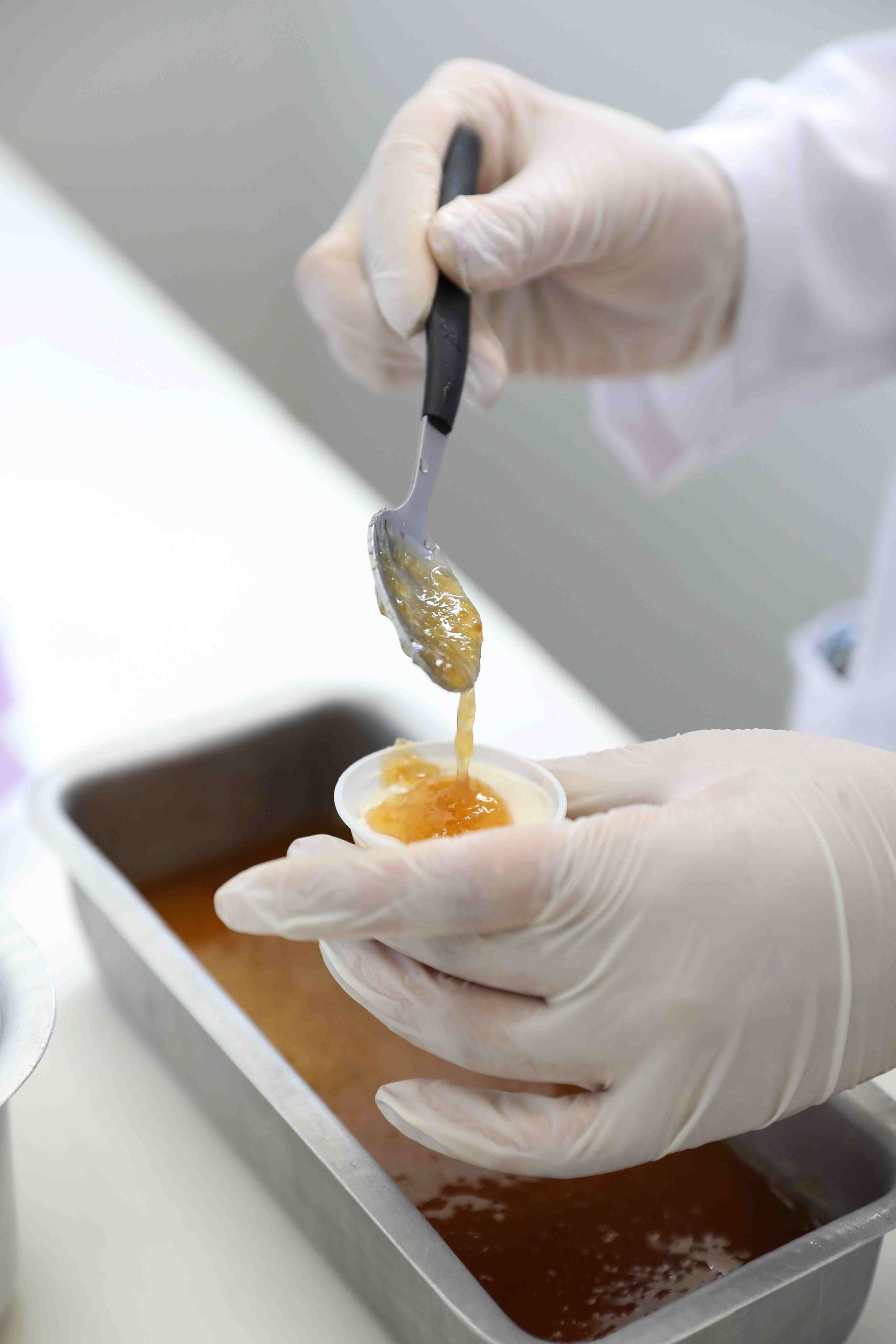 Futuras Cientistas Alunas da rede estadual desenvolvem produtos alimentícios a partir de fruto regional