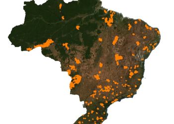 IBGE adota inteligência artificial para mapear áreas agrícolas no Brasil