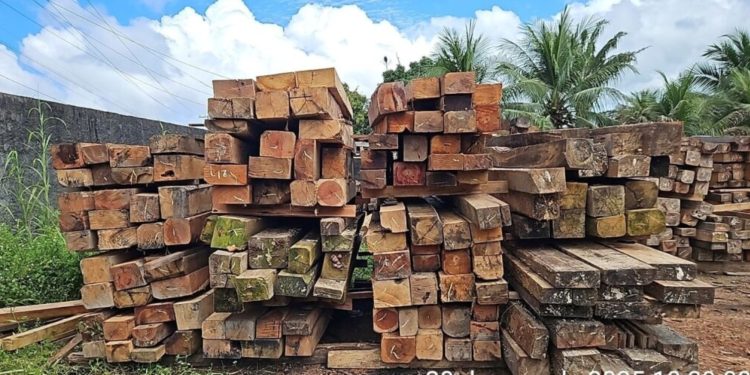 Doação de bens apreendidos pelo Ipaam: cadastro está aberto no Amazonas